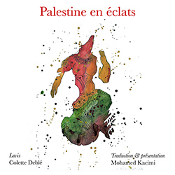 Palestine en éclats