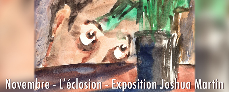 novembre - joshua martin