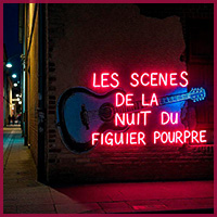 Les scènes de la nuit